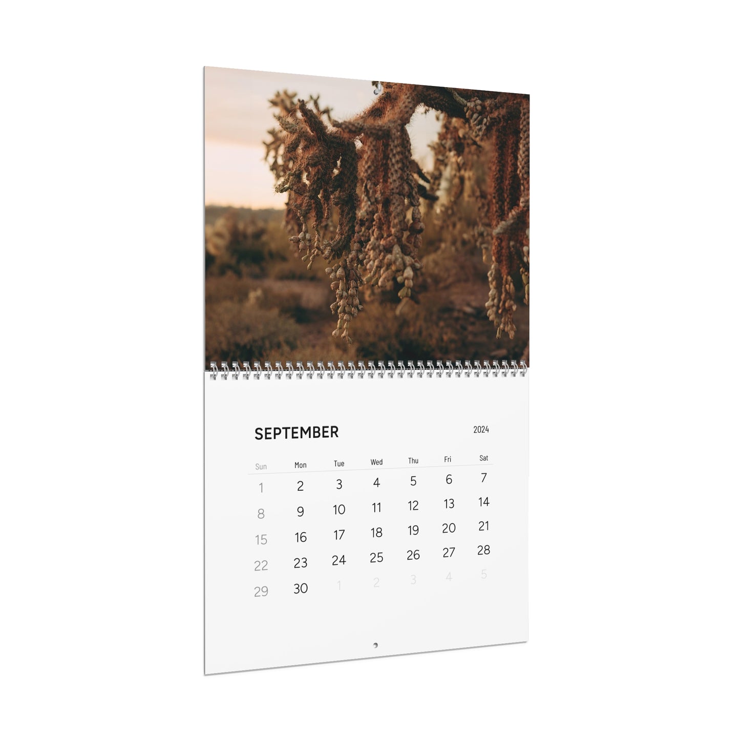 PRBPHOTO - 2024 WALL CALENDER