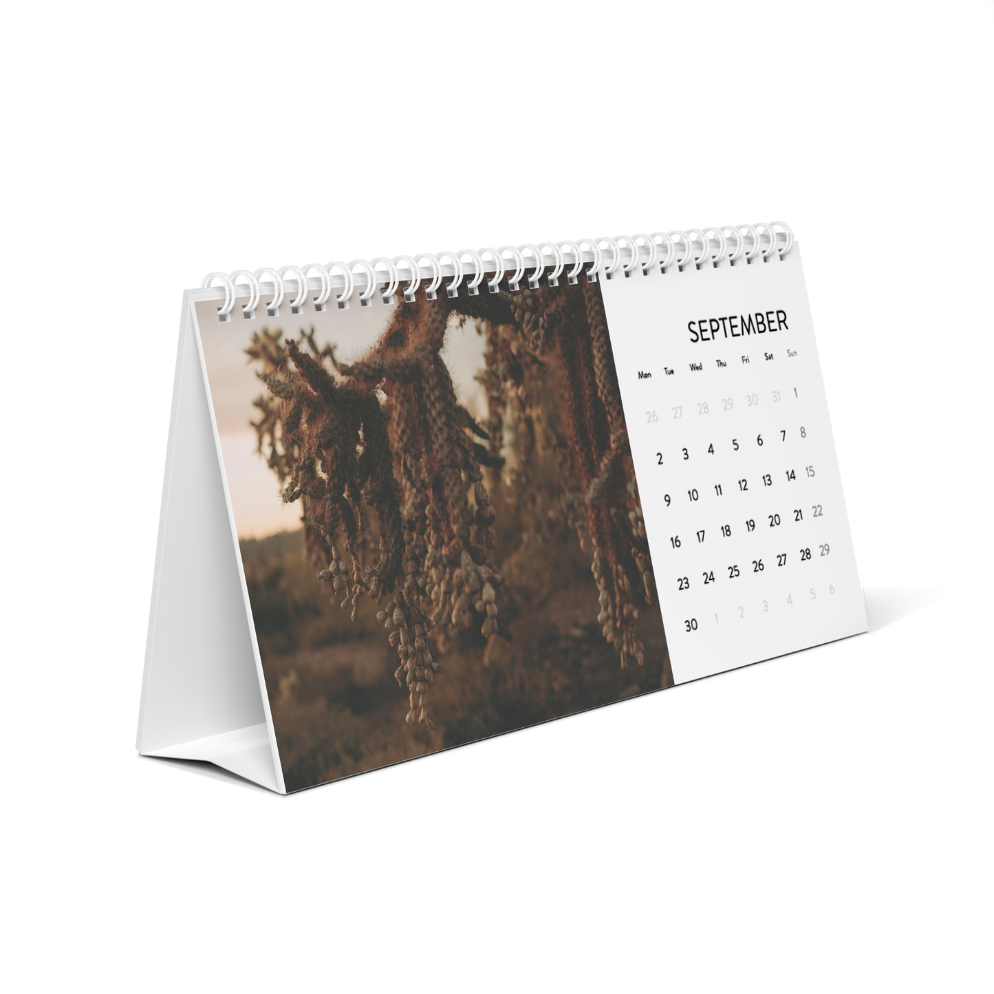 PRBPHOTO - 2024 DESK CALENDAR