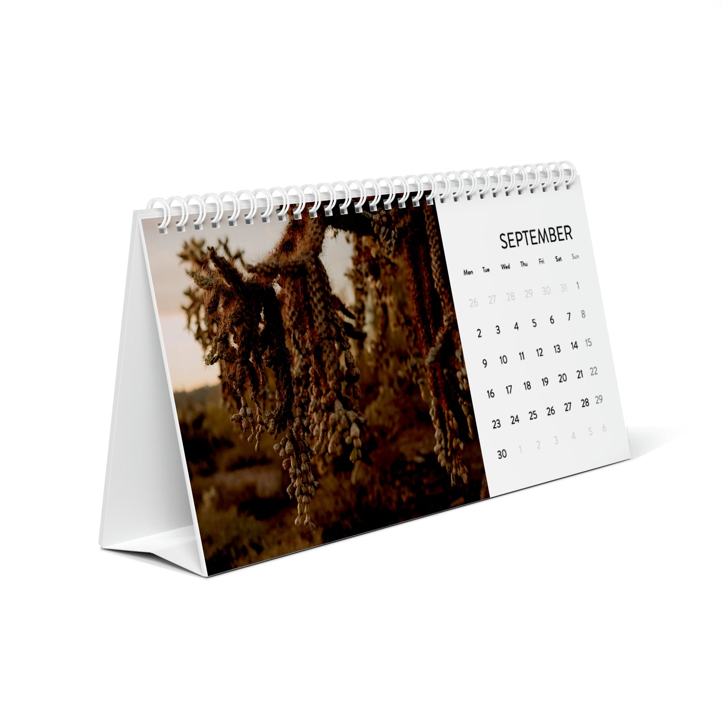 PRBPHOTO - 2024 DESK CALENDAR